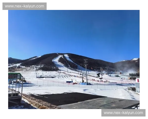 单板滑雪伤病：享受速度与激情，别让意外偷走快乐